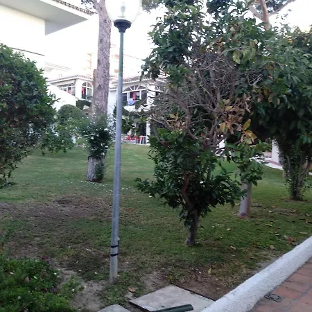 La Orquidea Apartamento